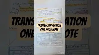 Transmethylation one page note