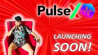 PulseChain Launch Imminent? PulseX, Mintra, HEX Updates