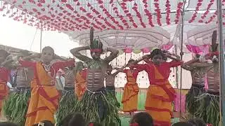 आदिवासी नुत्य जिल्हा परिषद प्राथमिक शाळा पिंपळपाडा