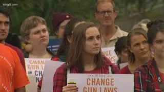 'Moms Demand Action' on gun reform at Everett rally