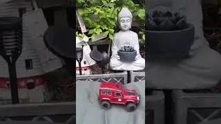 Ftx outback mini rc