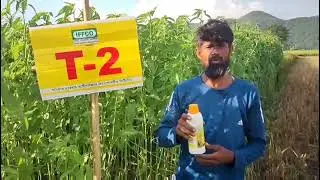 NANO DAP ASSAM DHUBRI JUTE KHARIF 2025