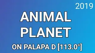 Frekuensi Animal Planet Terbaru di Palapa D