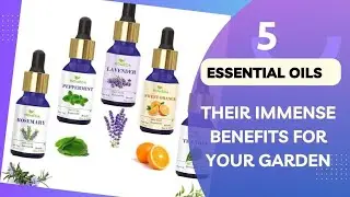 5 Essential oils that can help as pesticide, fungicide and much more in your garden.