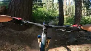Downieville 2025 - Start of Butcher Ranch Trail