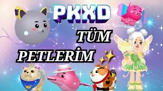 PK XD TÜM PETLERİMİ GÖSTERİYORUM ! ✨️🙈😍 | Eylul3 PK XD | PK XD TÜRKÇE