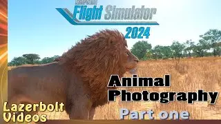 Every Animal in MSFS 2024 Part 1 - Lions Zebras Hippos Giraffes African Buffalo Joby S4 VR Lazerbolt