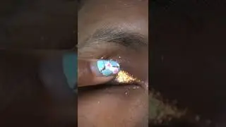 Color me multi 3 eye swatch, Touch of Glam Beauty!