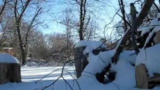 heyli winter 001