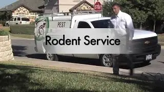 Rodent Service