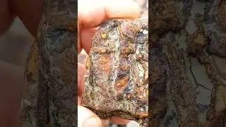 Interesting Sandstone Chunk #rockhounding #geology #sandstone