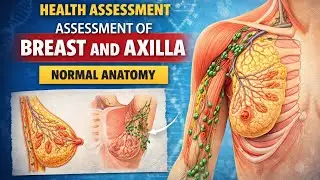 Anatomy of Breast and Axilla | Health Assessment Lecture for Nursing Students
