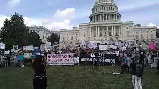 The Official Animal Rights March 2019 in Washington DC. USA.
