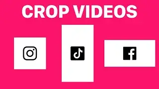 How to crop videos for social media (Instagram, Facebook TikTok, LinkedIn)