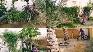 How i work on my Arab madam farm for peace + things  she plant + Arab kadama