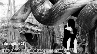 txiv tshiab coj tub ntsuag mus nrauj zoo ( QUB DAB NEEG )