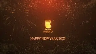 Happy New Year 2025 Best NEW YEAR COUNTDOWN 10 seconds TIMER with sound effects
