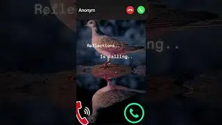 bird ringtone!!!#ringtone#aiart #birds #funny#song #youtubeshorts#birdlover #animals#trending
