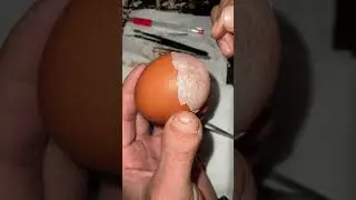Raw egg peeling challenge : perfect Live