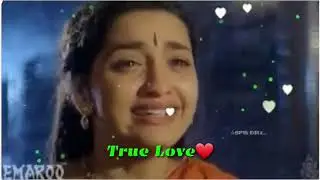 Ravi mama True Love