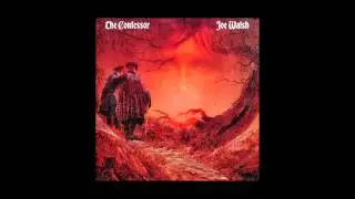 JOE WALSH - The Confessor