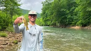 Smallmouth Fishing on the Buffalo River (Camping and Hiking)