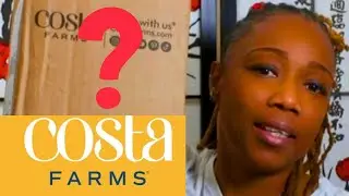 Brand NEW Plant RELEASE from Costa farms! New PLANTUnboxing!