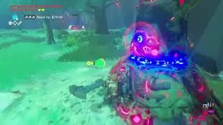Trial of the Sword speedruns were made for clip farming
