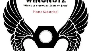 The E-Flite Blade Theory Type W race wing R/C Plane!!!