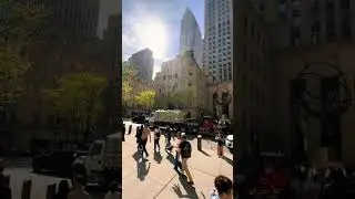 #NYCShorts #NewYorkTour #TimesSquareVibes #StatueOfLibertyView #CentralParkMoments #viral #trendin