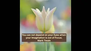 Focus quote by Twain #affirmations #inspirationalquotes #bollywood