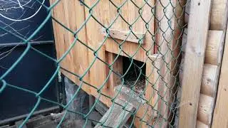 Очень удобный курятник. Вытяжка  и вид снаружи