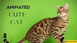 Cute Cat Beautiful 3D Effect (Instant Result)!