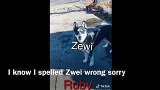 Rwby as TikToks (non cosplay)