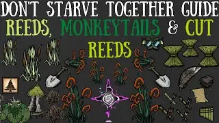 Don't Starve Together Guide: Reeds, Monkeytails & Cut Reeds