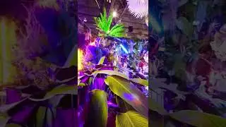 2023 PHILADELPHIA FLOWER SHOW in 60 SECONDS! OPENING DAY