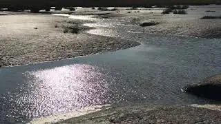 Langwarder Groden