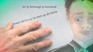 DE STOTTERAAR