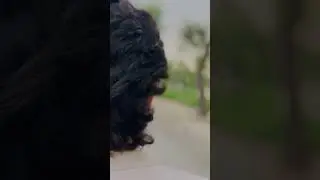Way to jampur #pakistan #jojosainvlogs #update #youtubeshorts #reviews #jampur #shorts #village