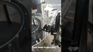 Automated Visual Inspection for Screws and Fasteners #machine#sortingmachine #youtubeshorts