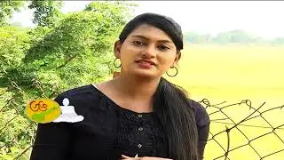 AP Tourism  Beauty of Nellore | Nelapattu Bird Sanctuary | Sriharikota | Day 2