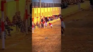 Оцените сейф от Goalkeeper по 10-балльной шкале: Великолепный, один из лучших сейфов в истории фу...