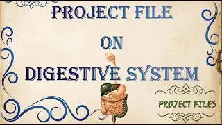 School project file on Digestive System for class 9,10 #science #cbse #class10 #class9 