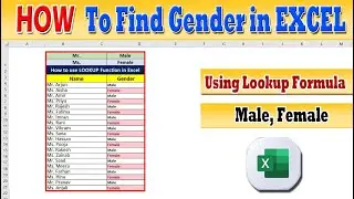 How to Separate Male And Female In Excel | How to find Gender in Excel