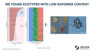 Fabio Fiorani - Analysis and exploitation of phenotypic diversity in Chilean quinoa germplasm