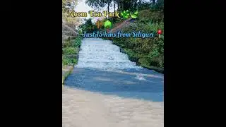 Neem Eco park 🌿🍃 #siliguri #travel #viralshorts #subscribe #nature #park #viralvideo #views #dooars.