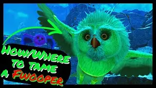HOW/WHERE TO TAME A FWOOPER!