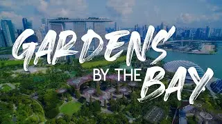 Gardens by the bay | Singapore Garden City | Drone Shots
