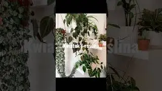 Prezent dla 13 latki