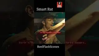 smart rat and Hollywood movies clip #ytshorts #ReelFlashScenes #film